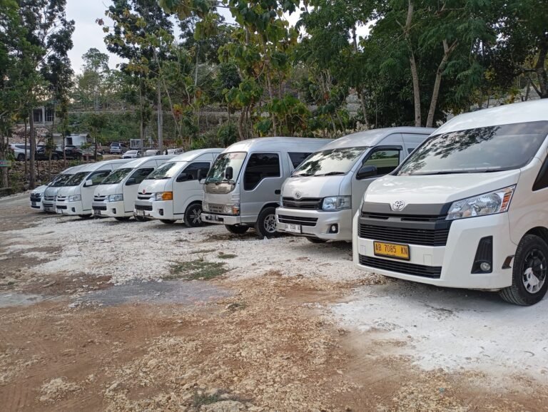 Sewa Hiace Luxury Rawamangun